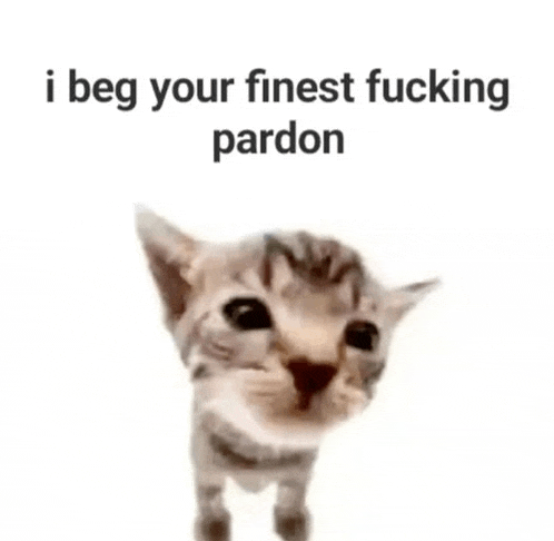 a cat is standing in front of a white background with the words `` i beg your finest fucking pardon '' written on it .