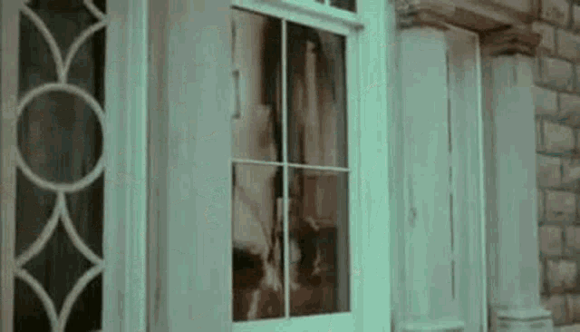 a woman is standing in front of a door with a reflection of her in the window .