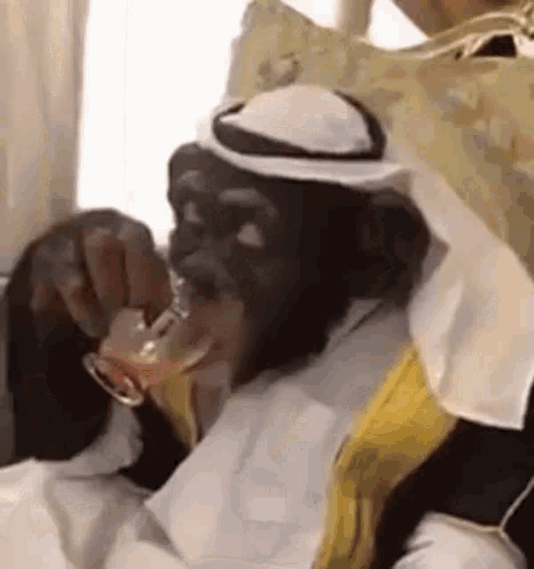 arab-monkey.gif