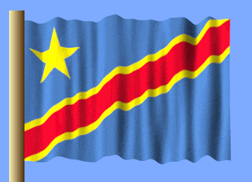 a blue flag with a yellow star on it