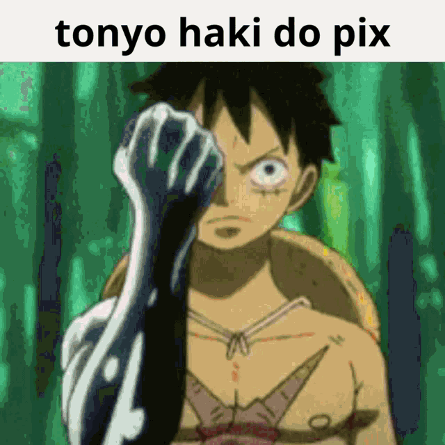 a picture of luffy from one piece with the words tonyo haki do pix