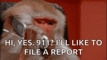 a monkey is talking on a cell phone and saying hi , yes 911 ? i 'll like to file a report