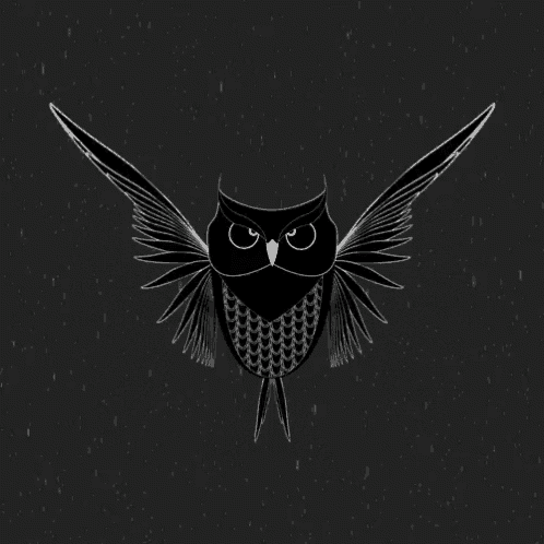 a black and white drawing of an owl with wings spread