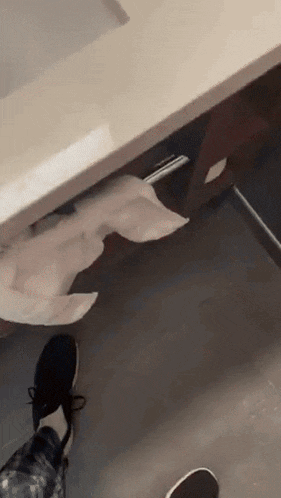 a person is standing next to a toilet paper dispenser in a bathroom