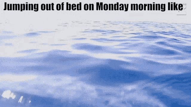 Jumping Out Of Bed Dolphin GIF - Jumping Out Of Bed Dolphin Monday Morning GIFs
