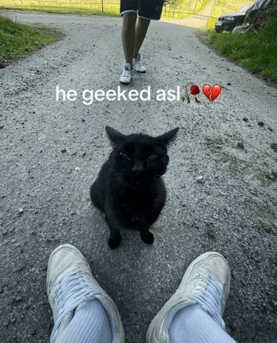 a black cat is sitting on the side of a road next to a person 's feet with the caption he geeked asl