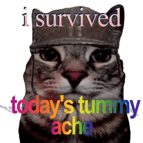 I Survived Todays Tummy Ache Meme - I survived todays tummy ache ...