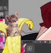 a kitten is sitting on a banana peel