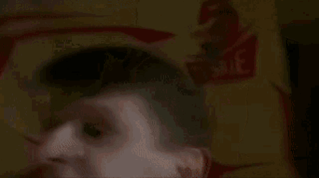 a man is making a funny face while sitting in front of a box of ramen noodles .