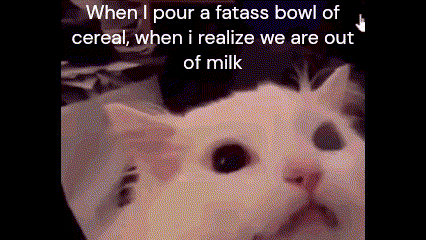 a cat with a caption that says when i pour a fatass bowl of cereal when i realize we are out