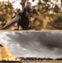 a close up of a bird sitting on top of a table next to a painting of a fire .