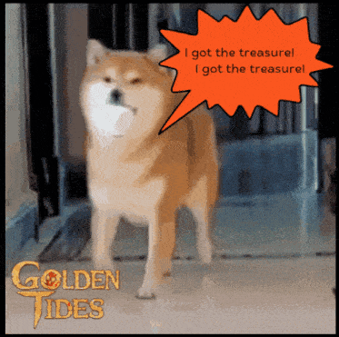 a picture of a dog with an orange speech bubble that says i got the treasure