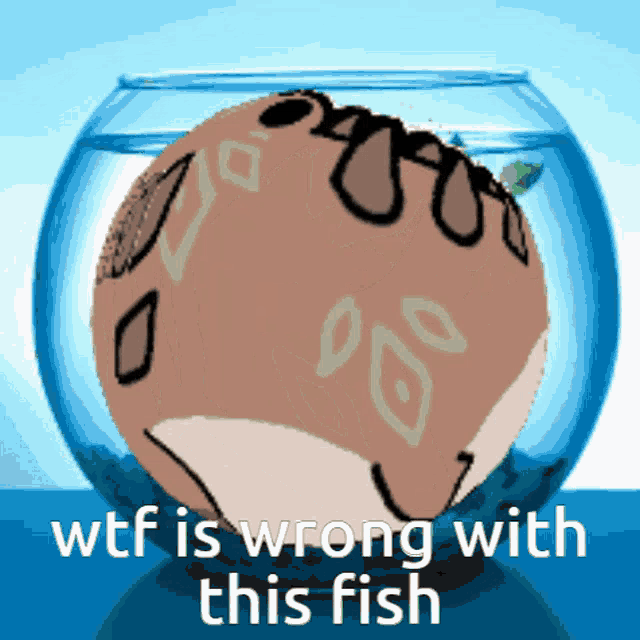 a picture of a fish in a bowl with the words wtf is wrong with this fish