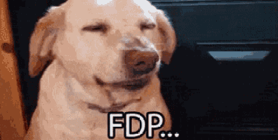 a dog with its eyes closed and the word fdp written on its face .