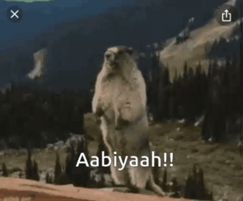 Aabiyah Beaver GIF - Aabiyah Beaver GIFs