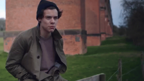 Harry  GIF - Harry Styles One Direction 1d GIFs