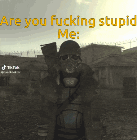a video game character with a gas mask says " are you fucking stupid "