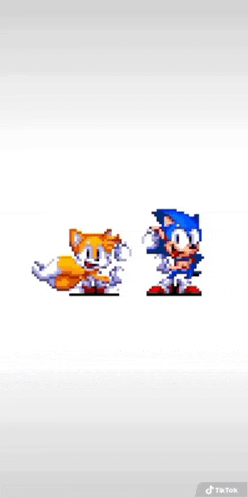 a pixel art of sonic the hedgehog and tails from the video game sonic the hedgehog