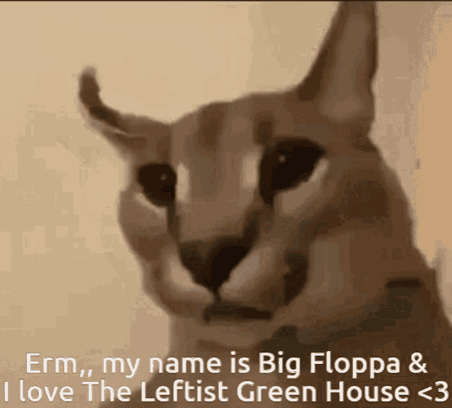 Erm Big Floppa GIF - Erm Big Floppa Floppa GIFs
