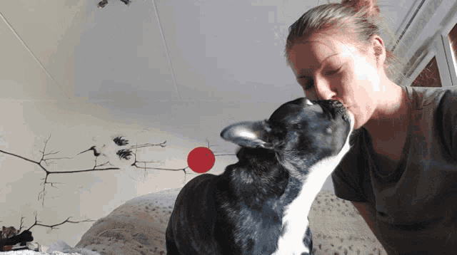 a woman kisses her black and white dog on the nose