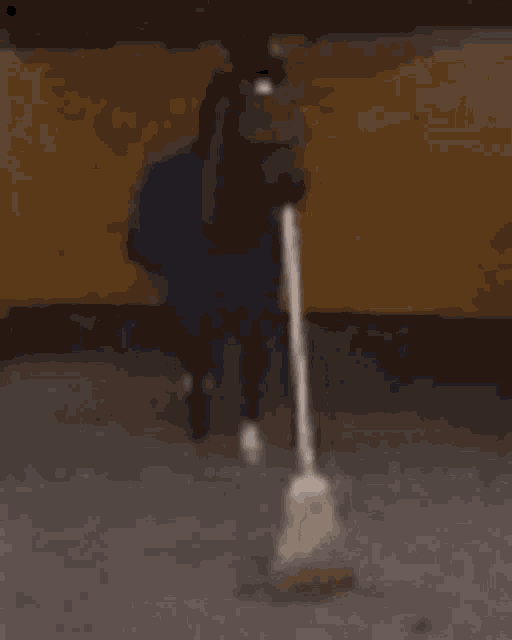 Broom Horse GIF - Broom Horse Broom Horse GIFs
