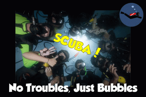 Scuba Scuba Diving GIF - Scuba Scuba Diving Diving GIFs