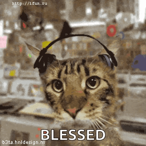 a cat wearing headphones with the word blessed written below it