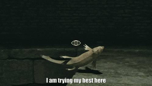 a picture of a fish with the words i am trying my best here