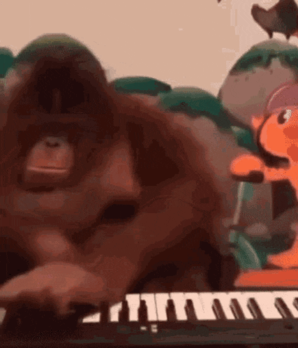 an orangutan is playing a keyboard in a cartoon scene .