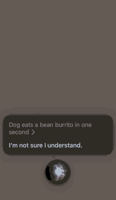 a screenshot of a siri app that says dog eats a bean burrito in one second