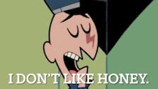 a cartoon character with a lightning bolt on his face says " i don 't like honey "