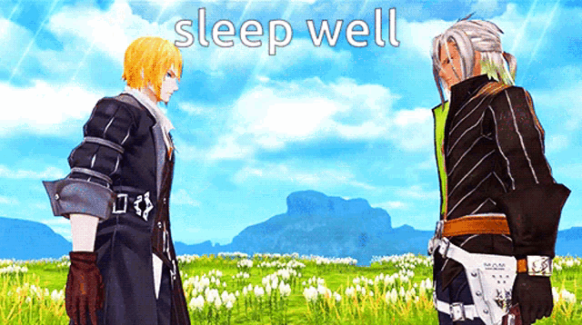 two video game characters standing in a field with the words sleep well written above them