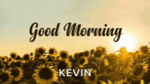 a field of sunflowers with the words " good morning kevin "