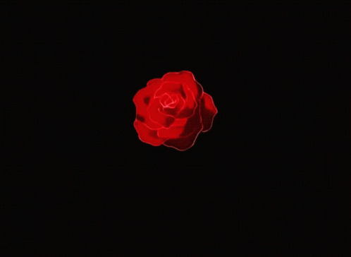 Aesthetic Rose GIF - Aesthetic Rose Flower GIFs