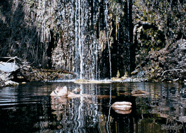 a person is floating in a body of water near a waterfall and the word dailymail is on the bottom