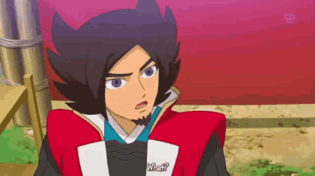 a cartoon character with a beard and a red jacket says " what "