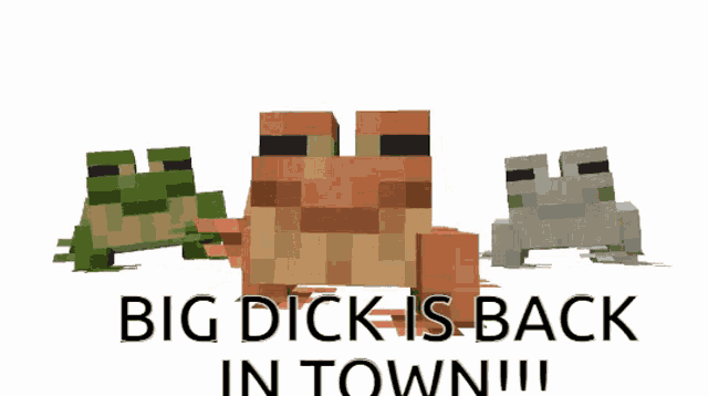 three frogs standing next to each other with the words " big dick is back in town "