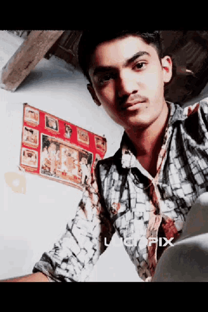 a young man in a plaid shirt takes a selfie in front of a wall with pictures on it
