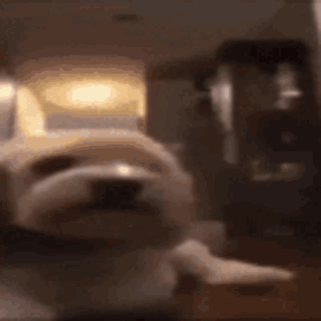 a blurry picture of a person standing in a room with a table .