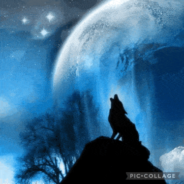 a picture of a wolf howling at the moon with the words pic collage at the bottom