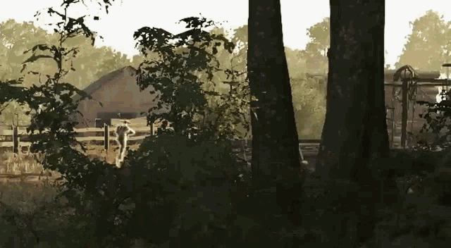 a painting of a fenced in area with trees and a barn