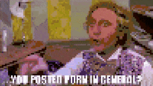 a pixelated image of a man with the words " you posted porn in general " above him