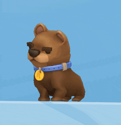 a brown dog wearing a blue collar with a gold tag