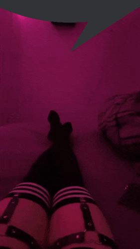 a laptop is sitting in front of a purple wall
