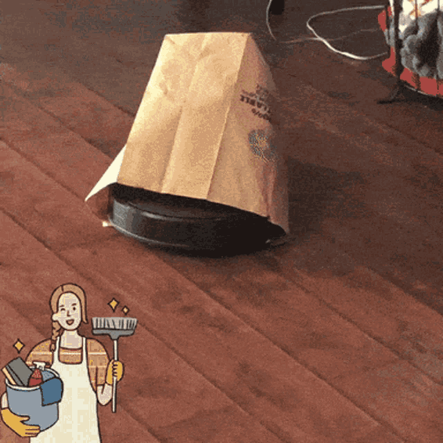 Roomba Cleaning GIF - Roomba Cleaning Lady GIFs