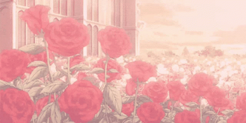 Roses Aesthetic Rose GIF - Roses Aesthetic Rose GIFs