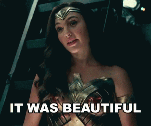 Wonder Woman Justice League GIF - Wonder Woman Justice League It Was Beautiful GIFs
