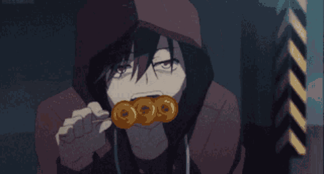 a person in a hooded jacket is eating a donut on a stick