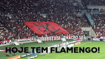 a soccer field with a banner that says hoje tem flamengo on it