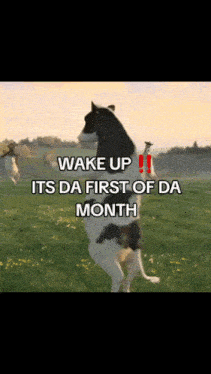 a dog standing on its hind legs in a field with the words wake up its da first of da month on it